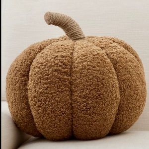 Pottery Barn Large 14” Cozy Tobacco Pillow New Sealed Sold Out! 🍂